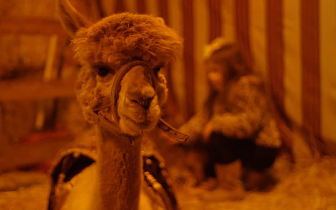 Journey to Bethlehem